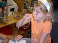 Little Learners Photo